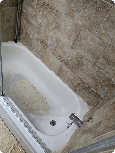 14a66d04-c0d2-490f-bfb2-6596896b9bea 2