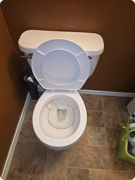 ed2e0041-9cb7-4e67-9cbf-a61dab1b83f0 1